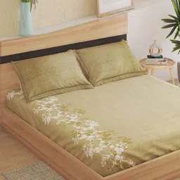 Home Centre Green & White 144 TC Fitted Cotton Double King Bedsheet Set 1.95 m x 1.80 m-picture-15