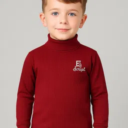 Zeal Boys Tshirts-picture-48