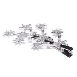 Jholawala Women Set of 2 Claw Clip image 2