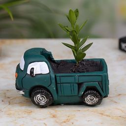 TYOOHAR Green & White Truck Shaped Indoor Pot Planter-picture-21