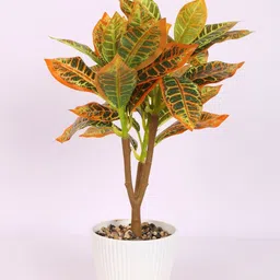 Home Bloom Red 1 Pieces Artificial Plant With Pot image 4