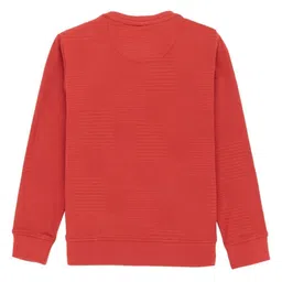 Status Quo Boys Textured Round Neck Long Sleeves Pullover Casual Sweatshirt image 3