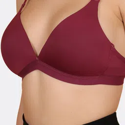 ZYLUM FASHION Bra Medium Coverage Lightly Padded image 3