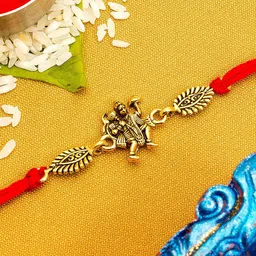 aadita Men Gold -Toned  Stones String Handmade Rakhi-picture-51