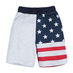 PLUM TREE Boys Grey Printed Regular Shorts-picture-34
