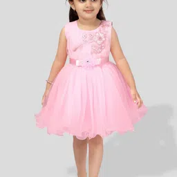 BAESD Girls Florl Embroidered Net Fit & Flare Dress image 1