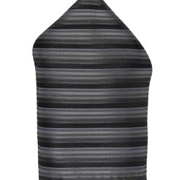 Alvaro Castagnino Men's Grey & Black Striped Pocket Square-picture-9