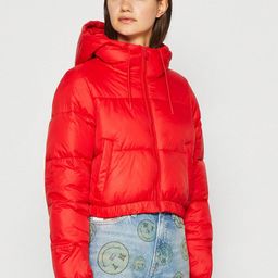 Kotty Hooded Crop Puffer Jacket-picture-26