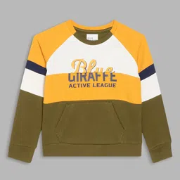 Blue Giraffe Boys Brown Colourblocked Sweatshirt-image-65