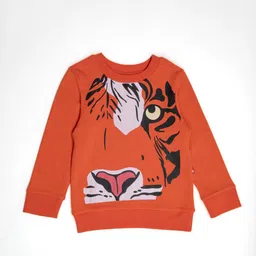 Nino Bambino Kids Boys Printed Cotton Sweatshirt-image-28