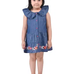 BAESD Floral Embroidered Flutter Sleeve Denim Fit & Flare Dress-picture-12