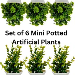 Dekorly Green Plastic Fern Artificial Flowers & Plants With Pot image 5
