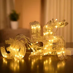 Kuber Industries White & Transparent Swastik & Om String Lights-image-84