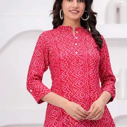 SIDDHANAM Print Mandarin Collar Cotton Styled Back Top image 4