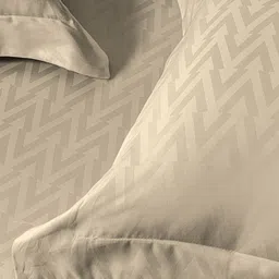 SANSAAR A DDECOR BRAND LIVE CONSCIOUSLY Beige Printed Cotton 3 Piece Bedding Set image 5