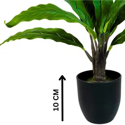 Dekorly Black Plastic Artificial Flowers & Plants With Pot image 2