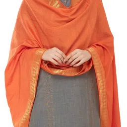 A R SILK DUPATTA HUB Embroidered Dupatta with Zari image 4