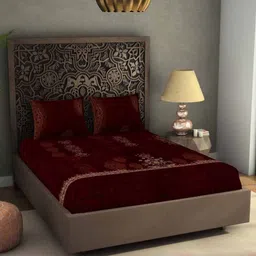 SPACES Rangana Digital Red Printed Pure Cotton 300 TC King Bedsheet Set Set 2.74 x 2.74m-picture-12