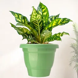 Kuber Industries Pack Of 4 Green Planters image 2