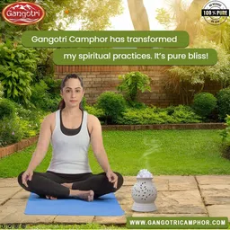 Gangotri Pack of 2 Camphor Jars-50gm Each image 4