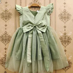 BAESD Ethnic Motifs Net Fit & Flare Dress image 4