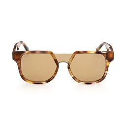 WEB EYEWEAR Men Brown Lens & Brown Square Sunglasses with image 4