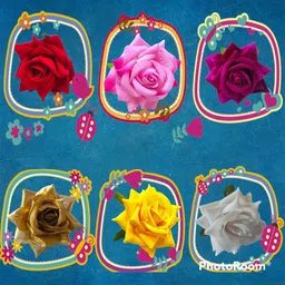 LYF5STAR Women Set of 6 Floral U Pins-image-12