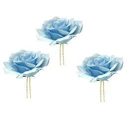Hair Flare Women Set Of 3 U Pins-image-46