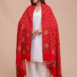 SWI Stylish Women Floral Woven Design Shawl image 4