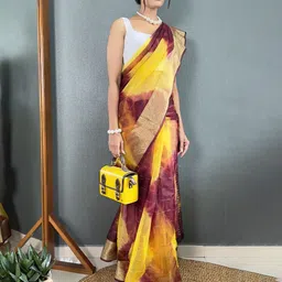 DIVASTRI Ombre Zari Organza Kanjeevaram Saree image 2