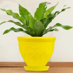 go hooked 6 Inch Victor Pot for Plants with Saucer Tray image 2