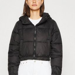 Stylecast X Kotty Lightweight Crop Puffer Jacket-picture-45