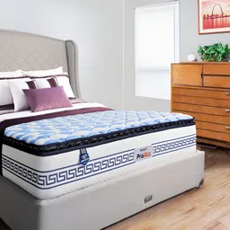 Springfit White & Blue Quilted ProActiv Flow Orthopedic Single Mattress-image-0