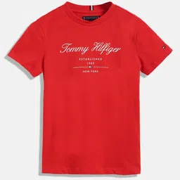 Tommy Hilfiger Boys Typography Printed Pure Cotton T-shirt-picture-30