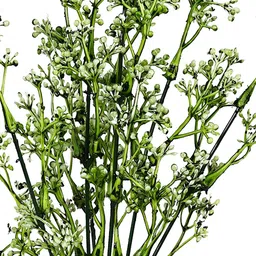 Myntra Elegant Homes Green 2 Pieces Berry Artificial Flower image 5