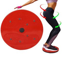 HackerX Tummy Twister Ab Exerciser-picture-15
