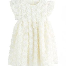 NEXT Girls Floral Applique Lace Fit & Flare Dress-picture-5