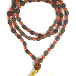 RAVIOUR LIFESTYLE Synthetic Necklace-picture-41