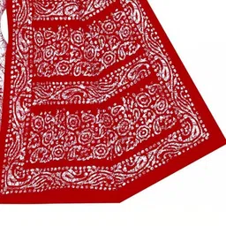 Sarita Sarees Batik Pure Cotton Sambalpuri Saree image 2