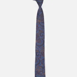 Peter England Men Printed Broad Tie image 2