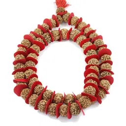 Divine souvenirs Brown Alloy Necklace-picture-15