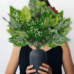 ARTSY Off White 2 Pieces Calathea Artificial Flower image 1