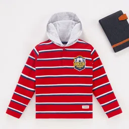 Ed-a-Mamma Boys Striped Hooded Cotton T-shirt-picture-46