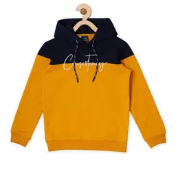 CAVIO Boys Colourblocked Hooded Cotton T-shirt-picture-55