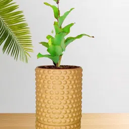 LASAKI Bubble Brown Ceramic Handmade Large Planter With Plate image 4