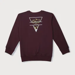 Palm Tree Boys Graphic Printed Cotton Sweatshirt image 1