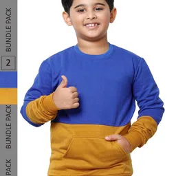 IndiWeaves Boys Pack of 2 Colourblocked Sweatshirt-image-3