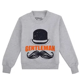 DYCA Boys Grey Printed Round Neck Sweatshirt-image-90