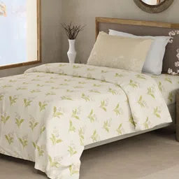 Boutique Living India Valatia Cream Printed Cotton 200TC Single Bedsheet Set 2.24m x 1.52m-image-8
