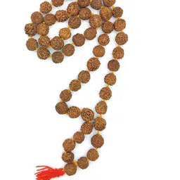 RAVIOUR LIFESTYLE Synthetic Necklace-picture-23